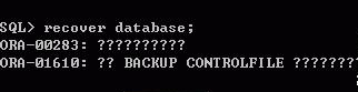 服务器数据恢复；Oracle数据库修复1